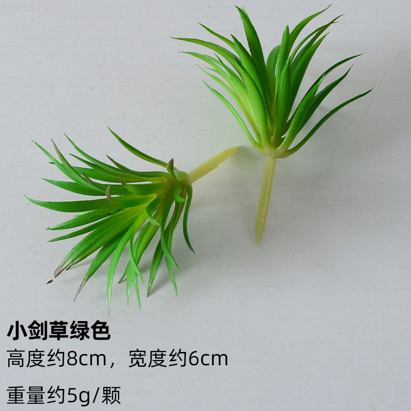 Pequeña espada hierba verde