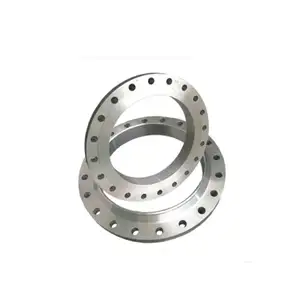 Wholesale Cheap Price F304/304L/316 Forged Carbon Steel Sw Socket Weld Flange