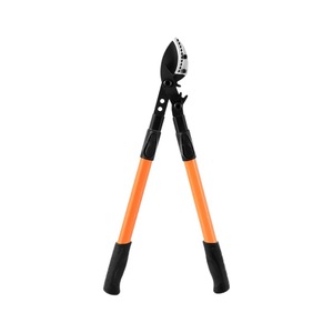 Sécateur télescopique robuste à batterie SK5 pour la coupe des hautes branches, idéal pour les arbres fruitiers et le jardinage - Product Image 1