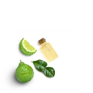 Huile Essentielle de Bergamote de Qualité Supérieure, Ingrédients 100% Naturels à Base d'Arbre à Thé, Fournisseur et Fabricant en Gros - Product Image 3