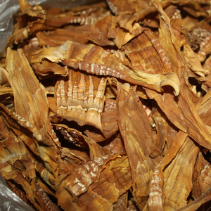 หน่อไม้แห้ง/หน่อไม้คุณภาพสูงจากเวียดนามผู้ผลิตด้วยราคาที่ดีที่สุด - Product Image 1