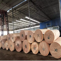 Haute qualité 0.3mm Gabon naturel Okoume visage naturel solide placage de bois de l'usine africaine