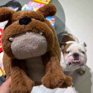 Peluche Super Morbido Jelly Ca Derek Dog Bullies e Bulldog per Bambini, Regalo Rilassante, Compagno Divertente, Ornamento per la Stanza, Bambola - Product Image 6