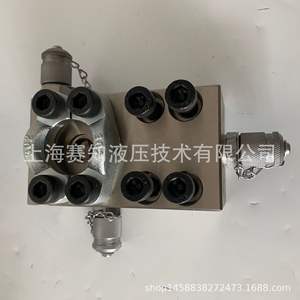 Conjuntos de Válvulas Hidráulicas Integradas Hechas a Medida, Colectores Estándar y No Estándar Disponibles - Product Image 5