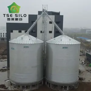 Green Beans Peas Storage Used Flat Bottom Silo With Factory Price