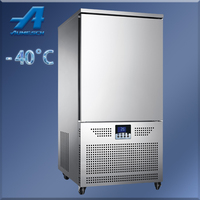 Aumesch Congélateur à pression enfichable à 10 plateaux-40 °C Congélation rapide Dégivrage automatique pour cuisine commerciale à tension 3P 220V 60Hz