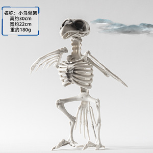 Ngôi Nhà Ma Ám Halloween tối Khủng Bố Bộ xương động vật phát sáng trang trí đạo cụ con chó con chim con Khỉ Con Mèo quạ cá vịt ếch con rắn - Product Image 4