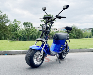 Scooter électrique brésilien Harley Citycoco, nouveau modèle avec moteur avant sans balais de 1000W, 60V20Ah, pneus larges, best-seller au Brésil - Product Image 6