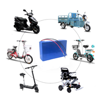 Baterai Ion Lithium 24V 85Ah 165Ah untuk Luggie Scooter/Kereta Golf