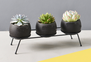 Pot de fleurs moderne de luxe en béton Pot de fleurs en métal noir avec contremarche décorative Pot de plantes en ciment avec présentoir décoratif - Product Image 6
