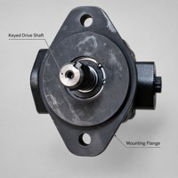 Pompe hydraulique Vickers V10 V20 à cylindrée fixe 42.4 17 CV 172 bars, pompe à palettes carrées simple à bride à 2 boulons pour usage industriel