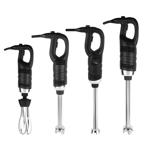 Mixeur Plongeant Commercial Shanyou à Vitesse Variable 850W, Lame en Acier Inoxydable 304, Capacité 1L, Moteur Haute Vitesse - Product Image 1