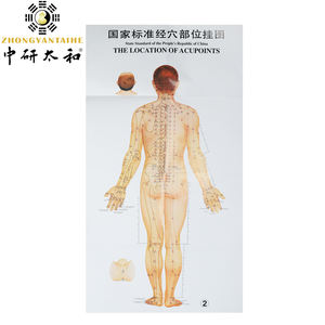 معيار البلد الوخز بالإبر رسومات للجدار جسم الإنسان نقاط الوخز بالإبر ميريديان خريطة تعليم الرسم البياني - Product Image 4