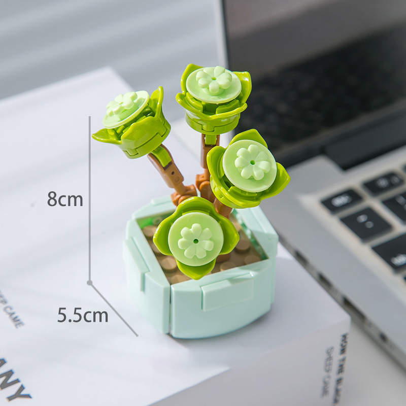 104B-3 Portulacaires