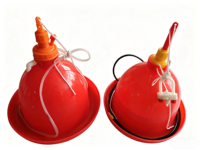 Nouvel abreuvoir automatique pour volailles, multi-types, pour poulets de chair, poules pondeuses, canards et oies