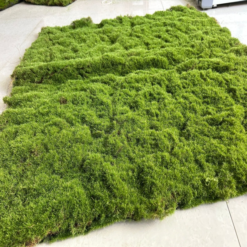 Vert-04