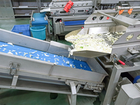 1T Automatische versnij-, was-, droog-, weeg- en verwerkingslijn voor fruit en groenten met CE-certificering