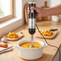 Mixeur plongeant en acier inoxydable 1000W, mixeur plongeant 5 en 1, moteur tout en cuivre, prise EU