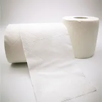 Rouleau de papier toilette 2 plis éco, pour hôtel et maison, produit de qualité, bon marché, prix vente en gros, unités