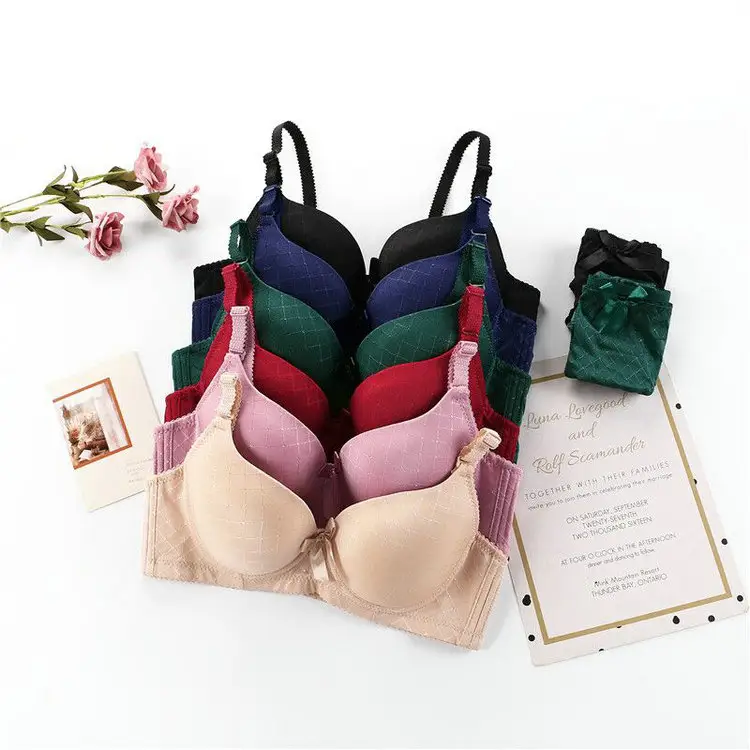 1.92 Dollar Model EMT003 Size 32-42 Middle South Market Embroidered Two Piece Underwire Lady Bra And Panty Set For Women
