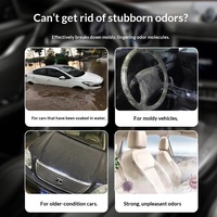 Spray désodorisant anti-moisissures pour l'intérieur de la voiture, élimine les odeurs de moisissure et les dommages causés par les inondations, solution ultime pour l'élimination des moisissures