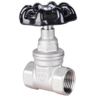 Vanne à opercule filetée en acier inoxydable à joint souple BSP NPT Z15X-16P PN16 SS304 SS316 DN15-DN100 pour eau, huile, gaz