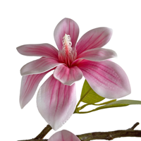 Pohon Magnolia Buatan 100cm Daun Hijau Palsu Tanaman Pot Bunga Pohon Bonsai Palsu untuk Dekorasi Rumah