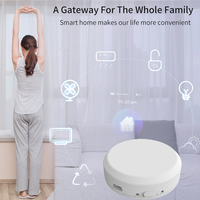 Gateway Inteligente Tuya ZigBee para Hogar, Hub WiFi con Material de PC, Control por Aplicación, 10A Máx., Multimodo, para Uso en Hoteles