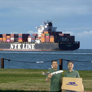 Più economico FBA To USA porta a porta via aerea servizio di trasporto marittimo agente spedizioniere <span class=keywords><strong>ddp</strong></span> dalla cina alla germania Canada giappone - Product Image 6