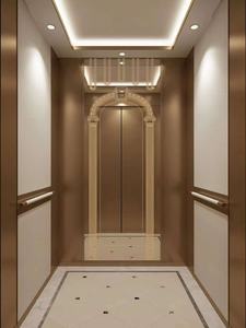 Customized Black Mirror Home Lift Titanium Hairline Stainless Steel 304 Passenger <b>Elevator</b> for 6 Person - Product Image 5