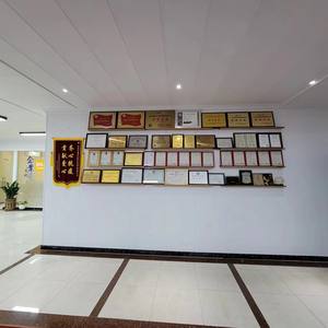 Resortes de gas nitrógeno para coche, alta calidad, profesional, 8180062841R - Product Image 6