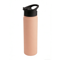 Bouteille d'eau sportive isolée sous vide en acier inoxydable de 22 oz (680 ml) avec couvercle à rabat et poignée de transport