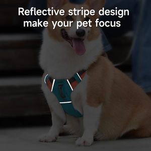 KINYU nuovo brevetto tutto in uno Auto-Lock No-Pull imbracatura ibrida per cani con guinzaglio retrattile imbracatura al guinzaglio retrattile gilet al guinzaglio per cani - Product Image 4