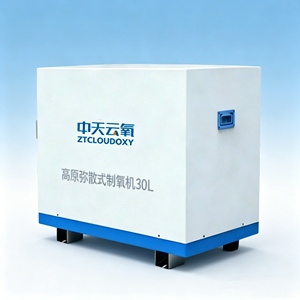 Concentratore di Ossigeno Diffuso ad Alta Quota da 30L, Macchina per Ossigeno a Risparmio Energetico per Aree Altopiache - Product Image 3
