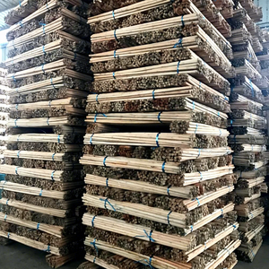 Manche de balai en bois d'eucalyptus naturel Asiawood Vietnam 2-en-1 léger et portable avec balai en PVC à poils festonnés pour la maison - Product Image 4