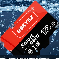 Carte mémoire TF longue durée 128 Go haute endurance pour caméra de voiture DVR et caméra de sécurité, carte pour enregistrement continu