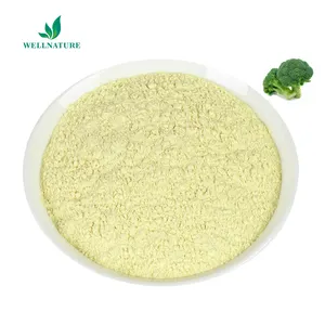 Natural Broccoli Seed Extract Powder With 0.5%-28% Content Glucoraphanin Supplied By The Factory For Wholesale OEM ODM