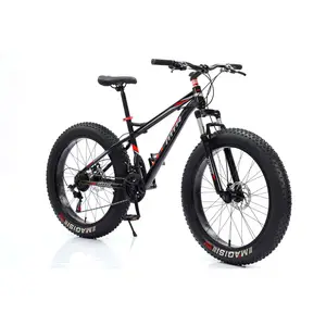 Factory Double Disk Bikes 26 Inch Beach Bike Fat Tire Mountain Bicycle