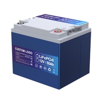 2024 baru 12V 20ah 30ah 50ah prismatik Lifepo4 bahan anoda baterai dalam LFP untuk penyimpanan dan mainan energi listrik