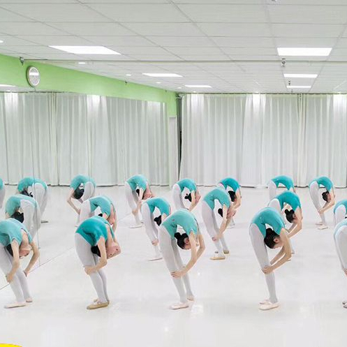 Dance Studio Floor PVC Ballet Flooring