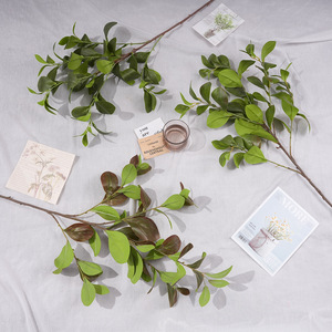 Branche de fleur en soie imprimée en 3D, feuille de haricot simulée, 30cm-100cm, pour décoration florale de maison et de mariage - Product Image 1