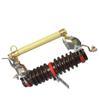 QIHANG RW11 10-15KV 100A Fusible de coupure rapide en céramique de porcelaine haute tension pour extérieur, non-indicateur, à sortie radiale IEC
