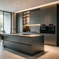 Juego de Muebles de Cocina Modulares Empotrados de Alta Gama con Encimera de Cuarzo Antracita Mate Contemporáneo a Precio de Fábrica