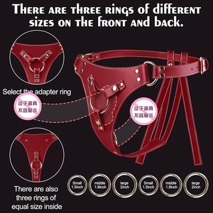 Ventouse pour pantalon, polyvalente pour diverses situations, jouet sexuel SM pour couple - Product Image 3