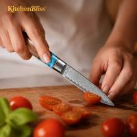 KitchenBliss Ultra Scherp Klein Keukenmes Volledig Gevormd 67-Lagen Damascus Staal Fruitmes 3,5 inch Schilmes
