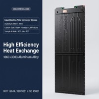 Plaque froide liquide en aluminium soufflé certifiée IATF16949 ISO9001 pour le refroidissement des batteries ESS, fournisseur OEM ODM