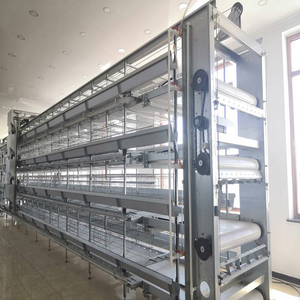 อุปกรณ์สำหรับสัตว์ปีกในเชิงพาณิชย์สายการวิ่งที่ราบรื่นประเภท H ของการวางไก่สุ่มในการขาย - Product Image 3