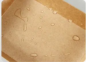 Biodegradable कागज खाद्य कंटेनर डिस्पोजेबल कागज दोपहर के भोजन के बॉक्स के लिए प्लास्टिक मुफ्त कोटिंग रसायन शास्त्र कागज कप