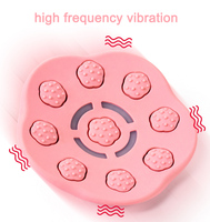 Neuheit: Silikon-Magnet-Lade-Vibrator für Brustwarzen-Massage mit Fernbedienung, 99 Punkte, 6 Temperaturstufen