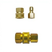 Coupleur rapide hydraulique Tobestar de qualité supérieure, tuyau à tuyau, avec filetage femelle
